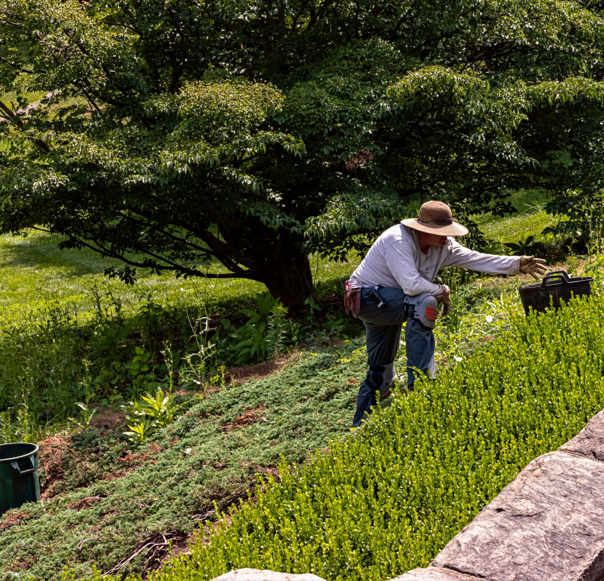 Horticulturist 