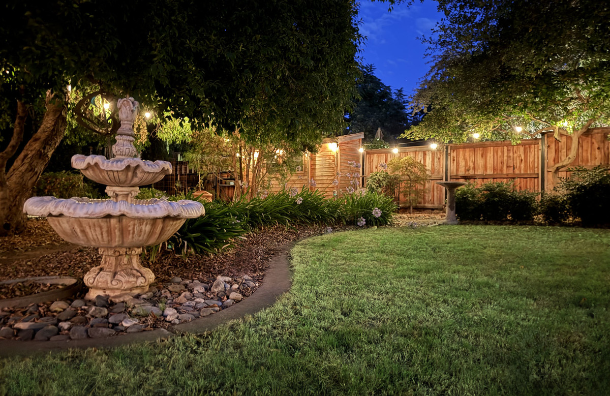 Night In The Garden