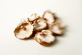 Messy mushrooms