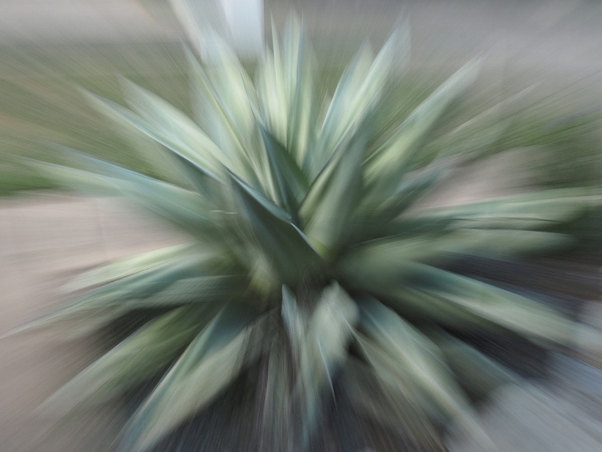  zooooooooom