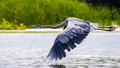 Fly By