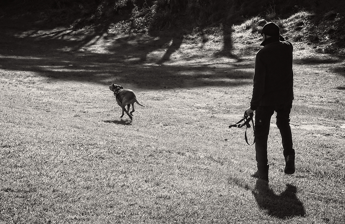 Fetch!