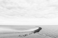 To the horizon and beyond