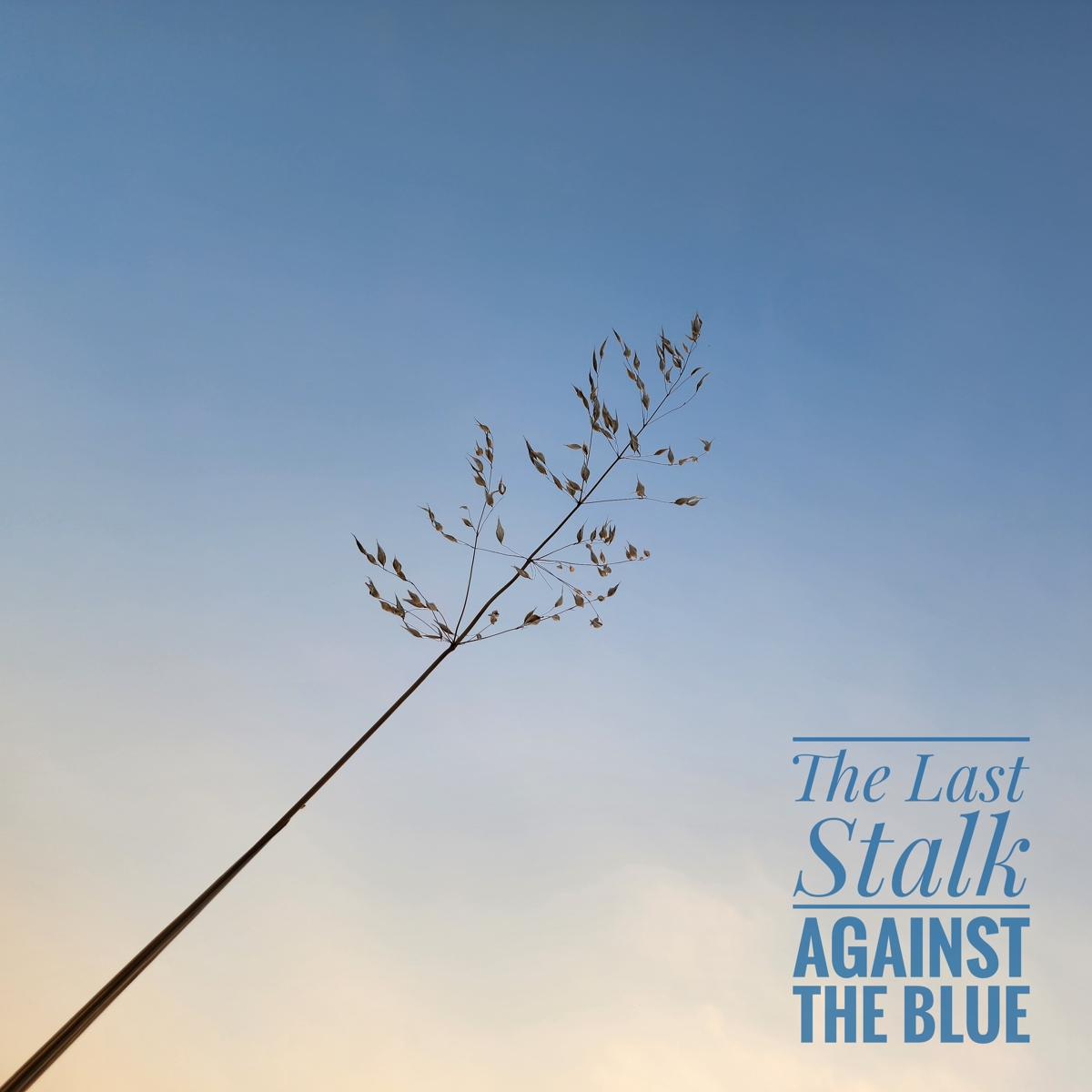 The Last Stalk - AGAINST THE BLUE
