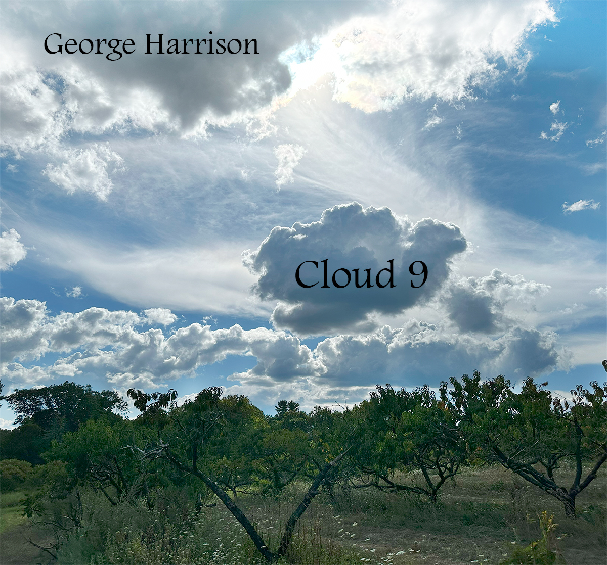 Cloud Nine