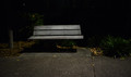 Reserved For Ghosts