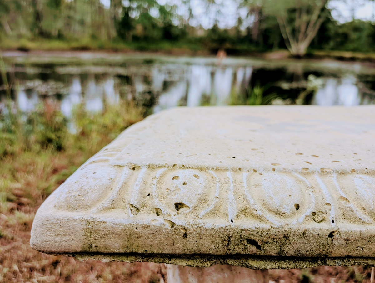 The View From The Bench