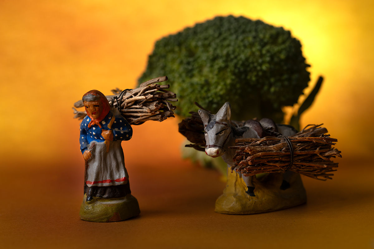 The travelers
