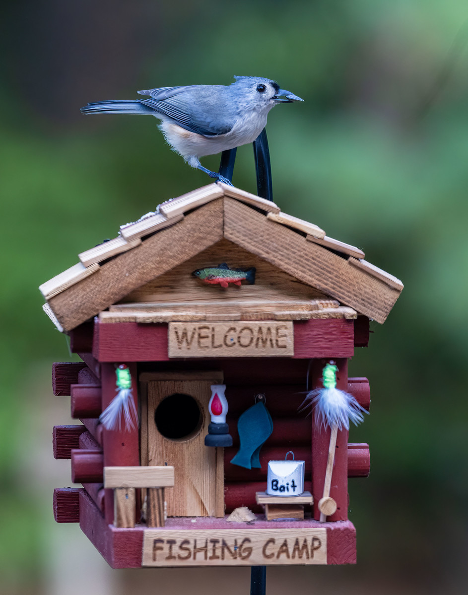 VRBO