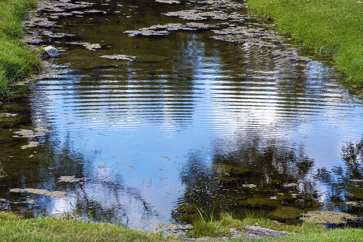 rippled reflections