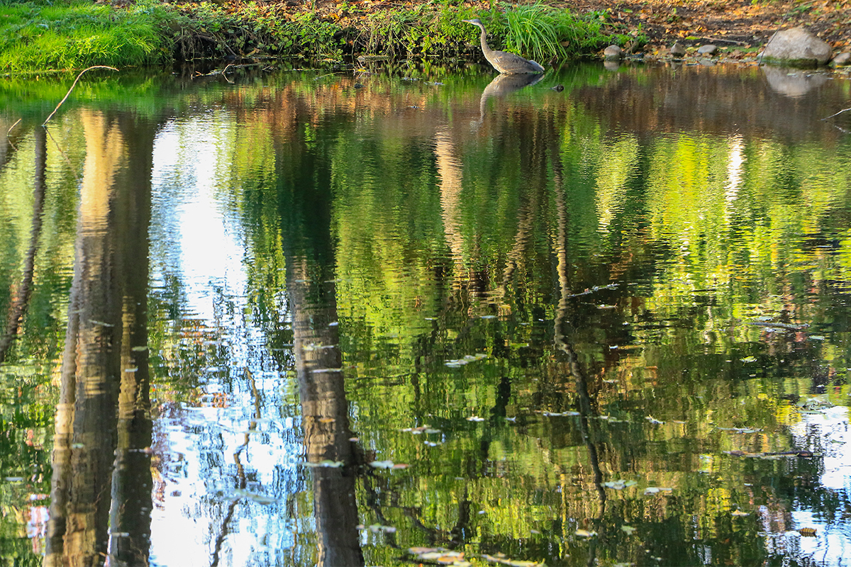 Reflecting 