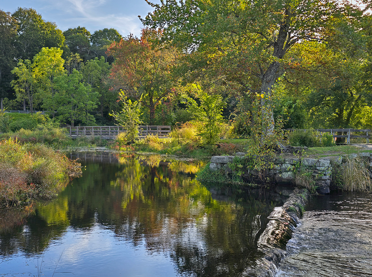 Millpond in Autumn