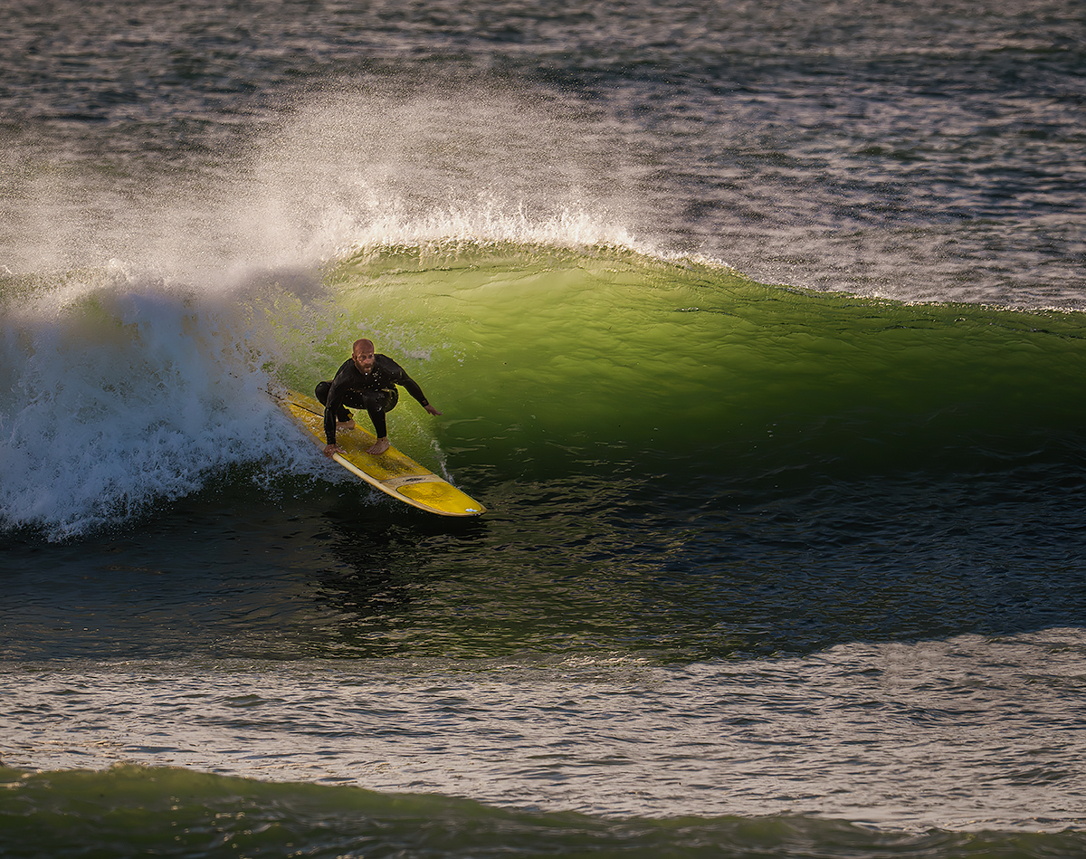A Surfer's Life