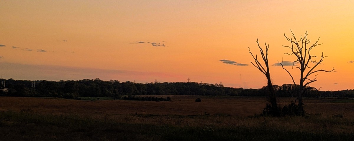 A New Day