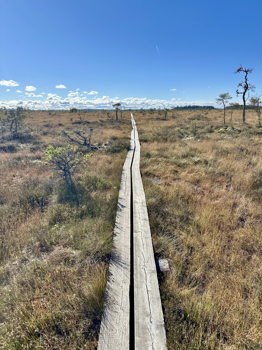 Hike in a National Park
