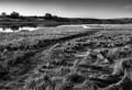 a well worn path and row boat