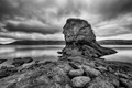 Hairy Rock