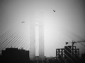 same bridge 
