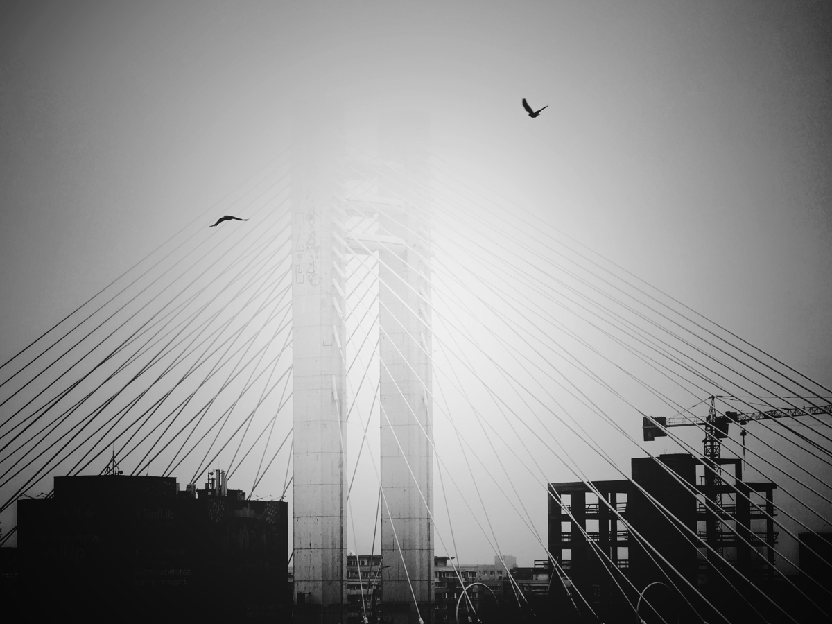 same bridge 