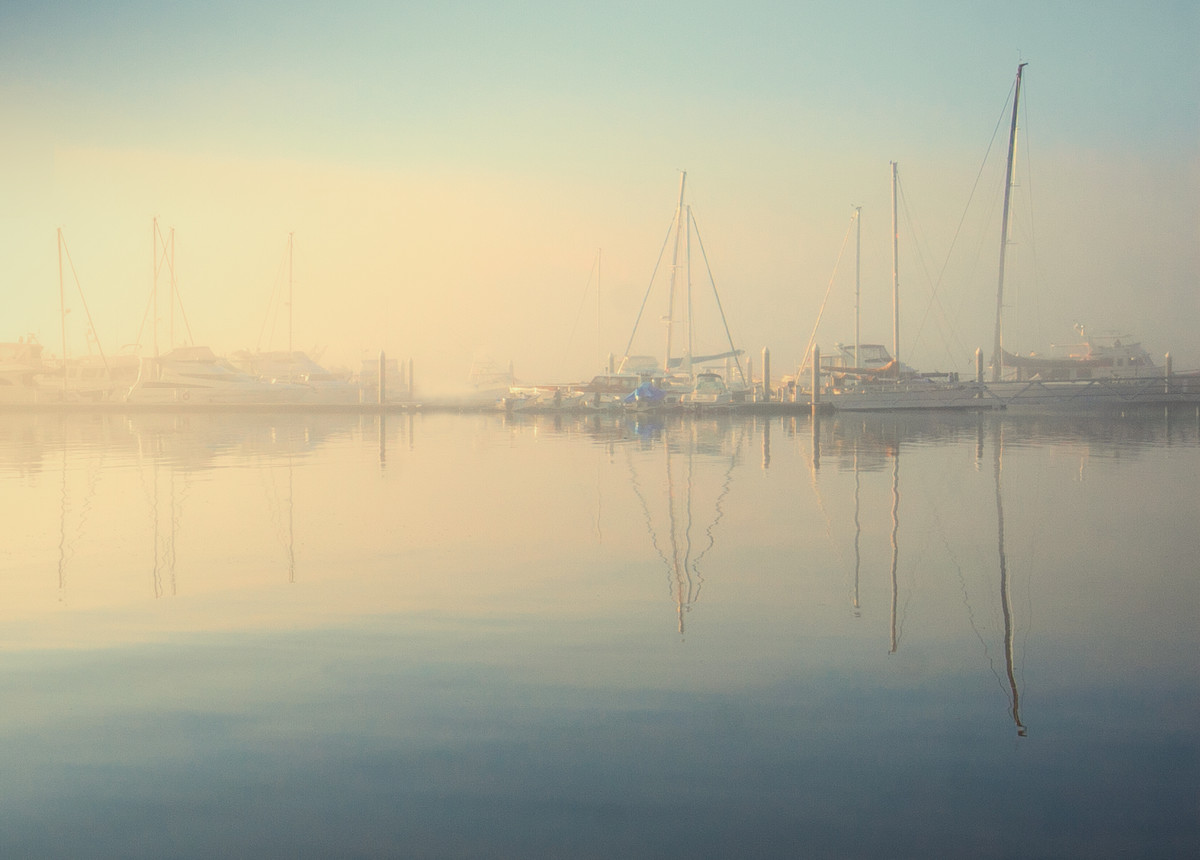 Misty Charleston Morning