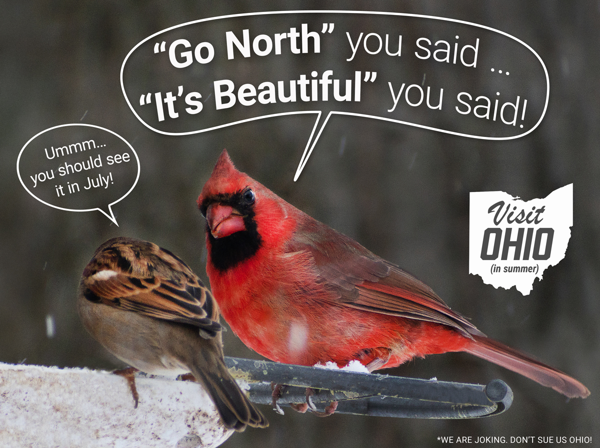 THE STATE BIRD KEEPIN' IT REAL