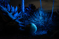 prickly neighbors