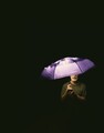 Shrinking Violet