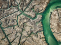 The Winter Marsh