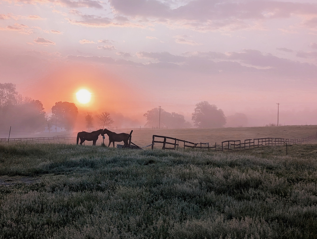 chilly morning