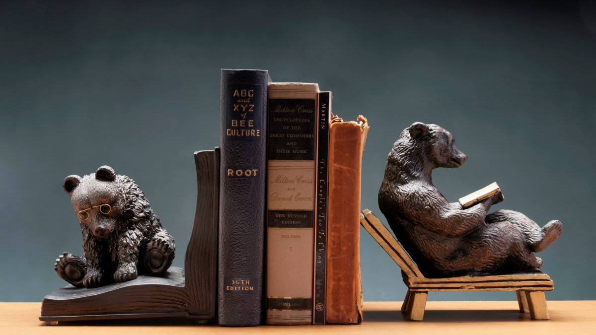 Lost Art of Reading