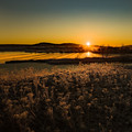 The First Rays