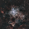 Long time ago in a galaxy far far away...there was a spider