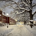 Hello My Winterland