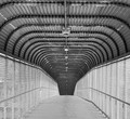 The Long Walk