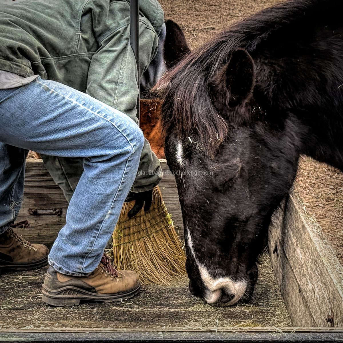 The Helper