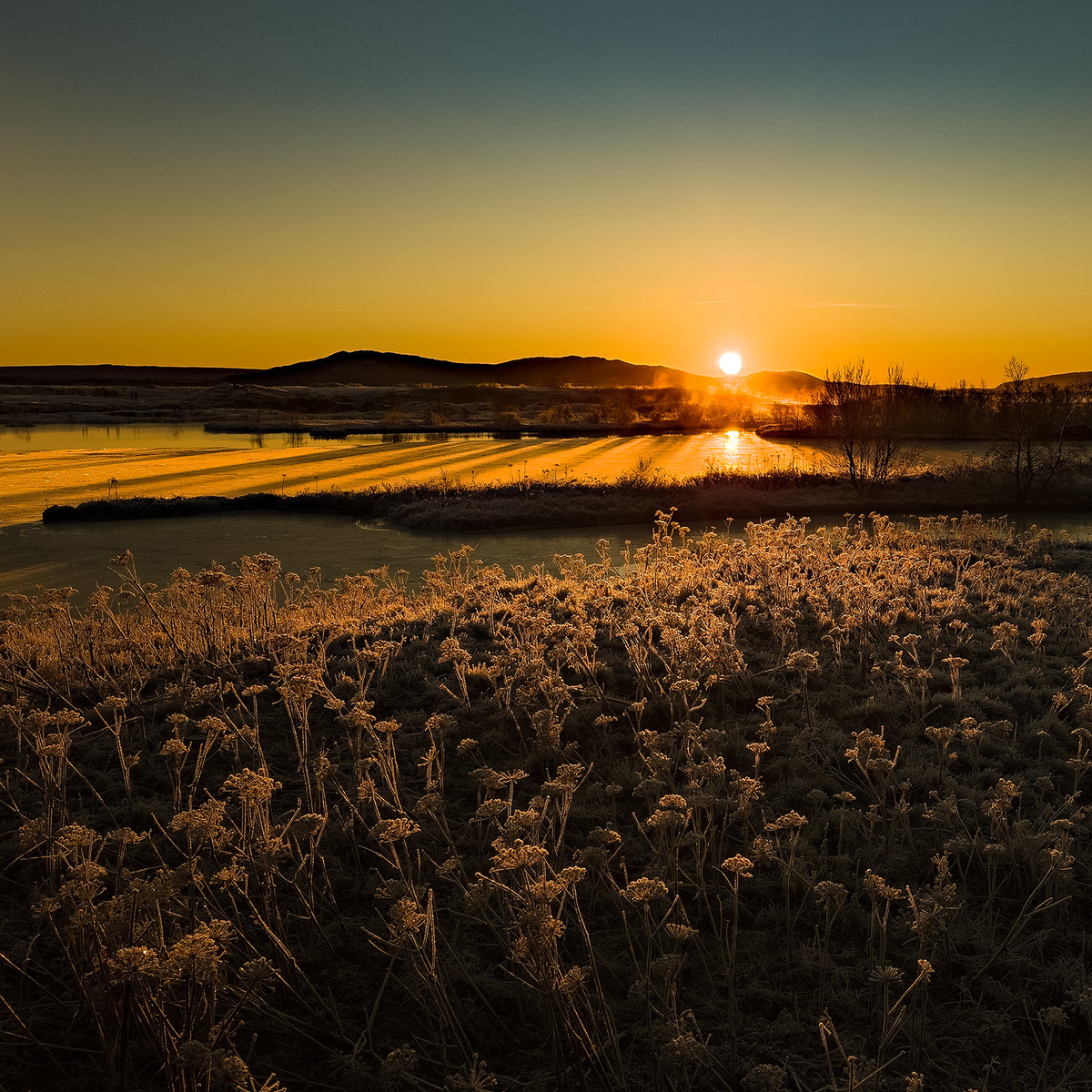 The First Rays