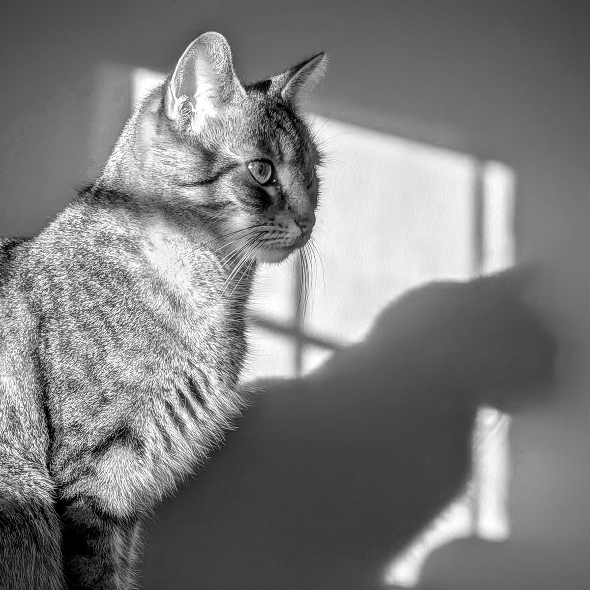 Profile