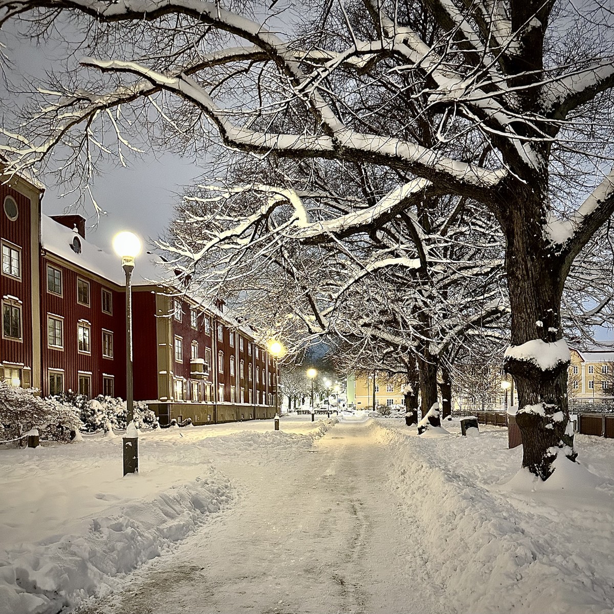 Hello My Winterland