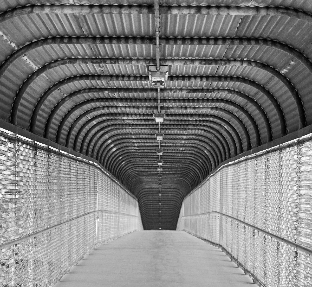 The Long Walk