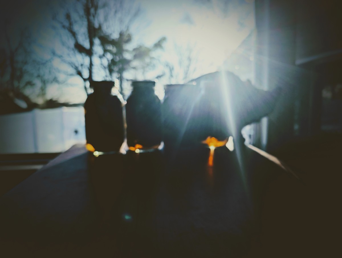 Kitty with Jalapenos