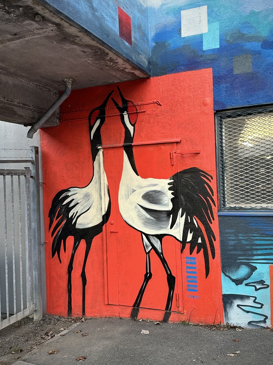 Someone has put cranes in the corner