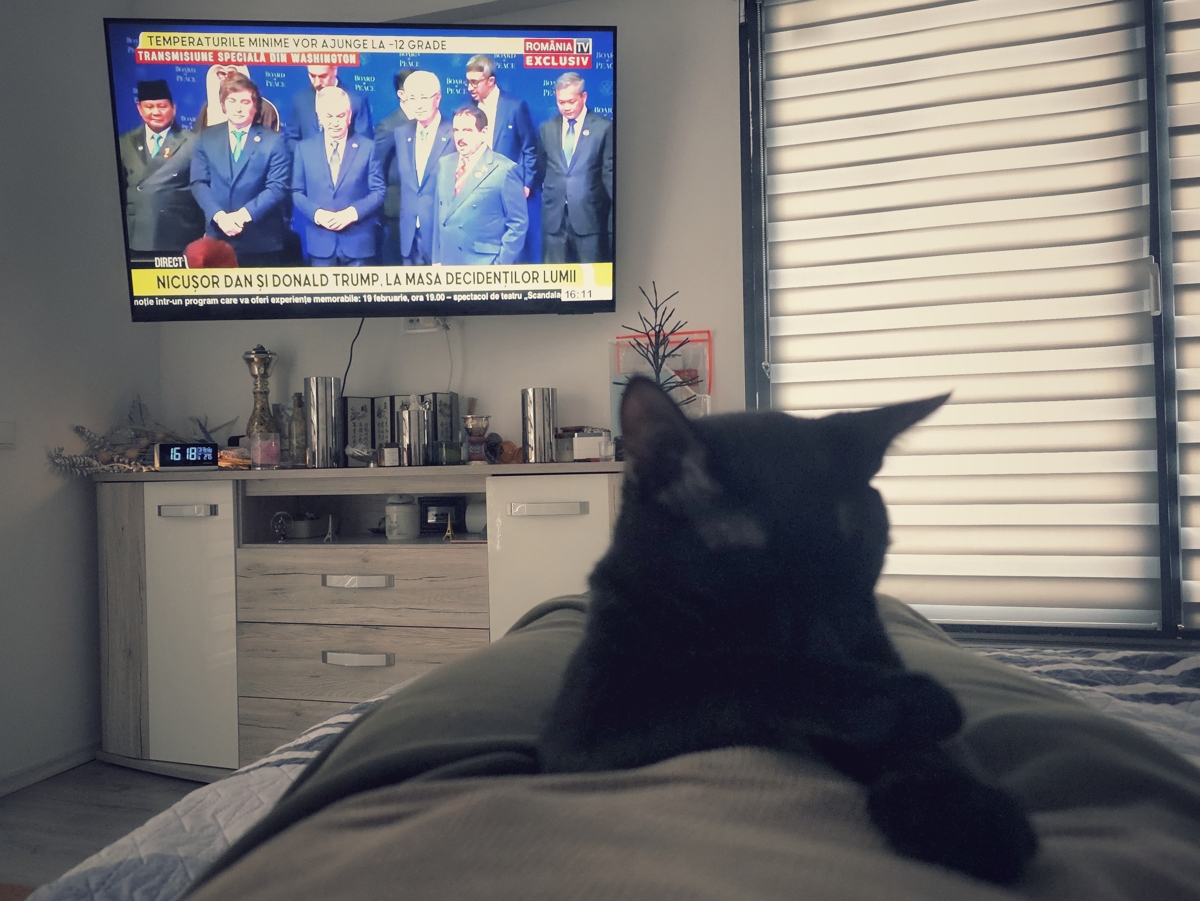 important matters