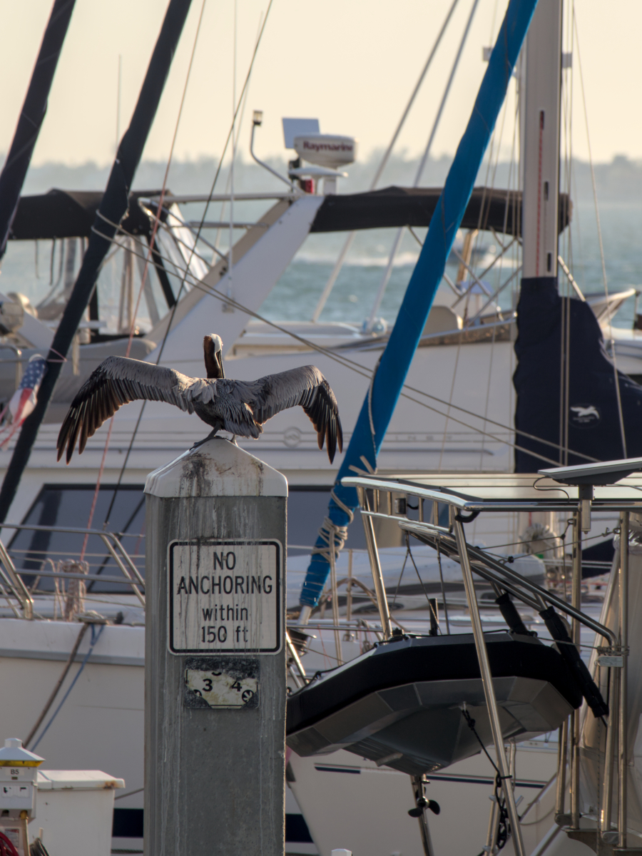 ... okay, then I anchor elsewhere 
