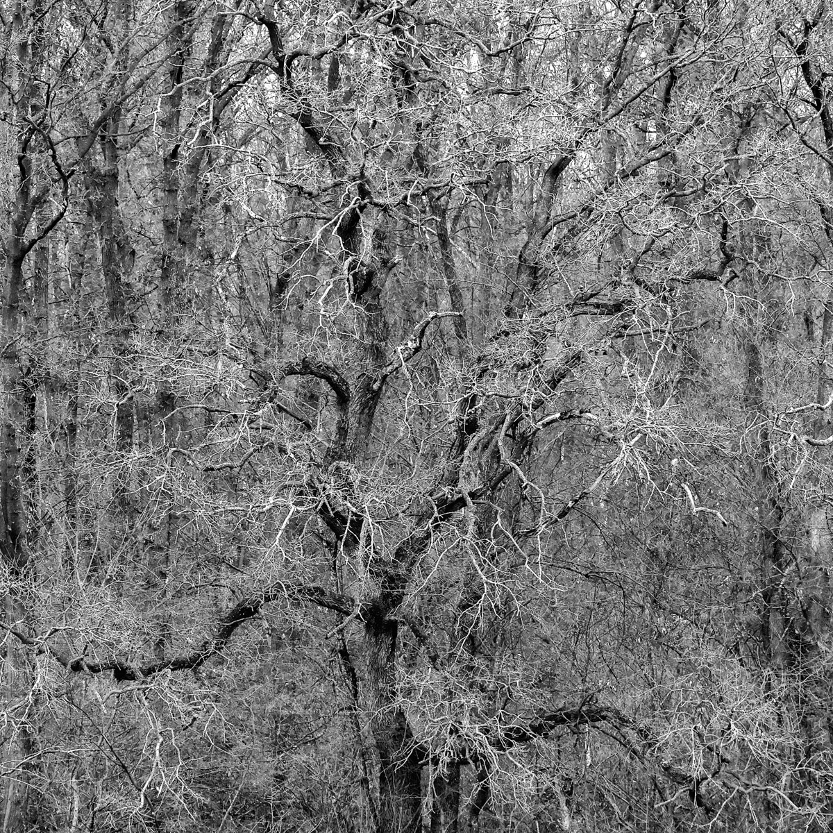 a winter not yet settled