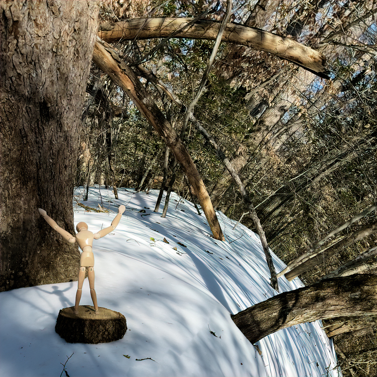The Wood Bender