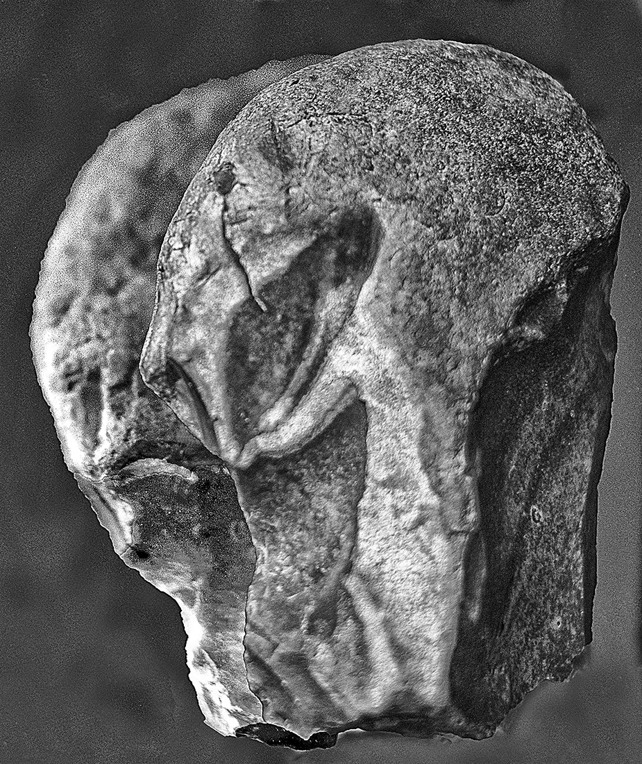 skull