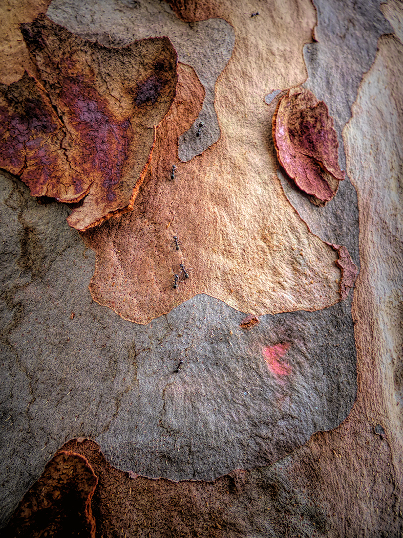 Weeping Woman