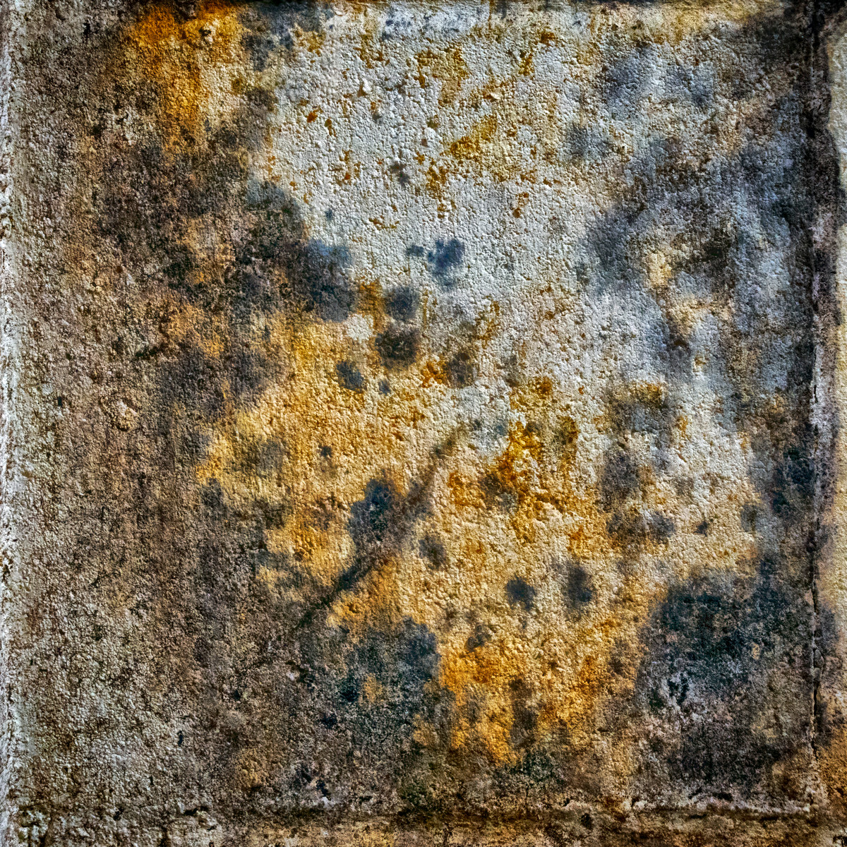 What the Rain Remembered