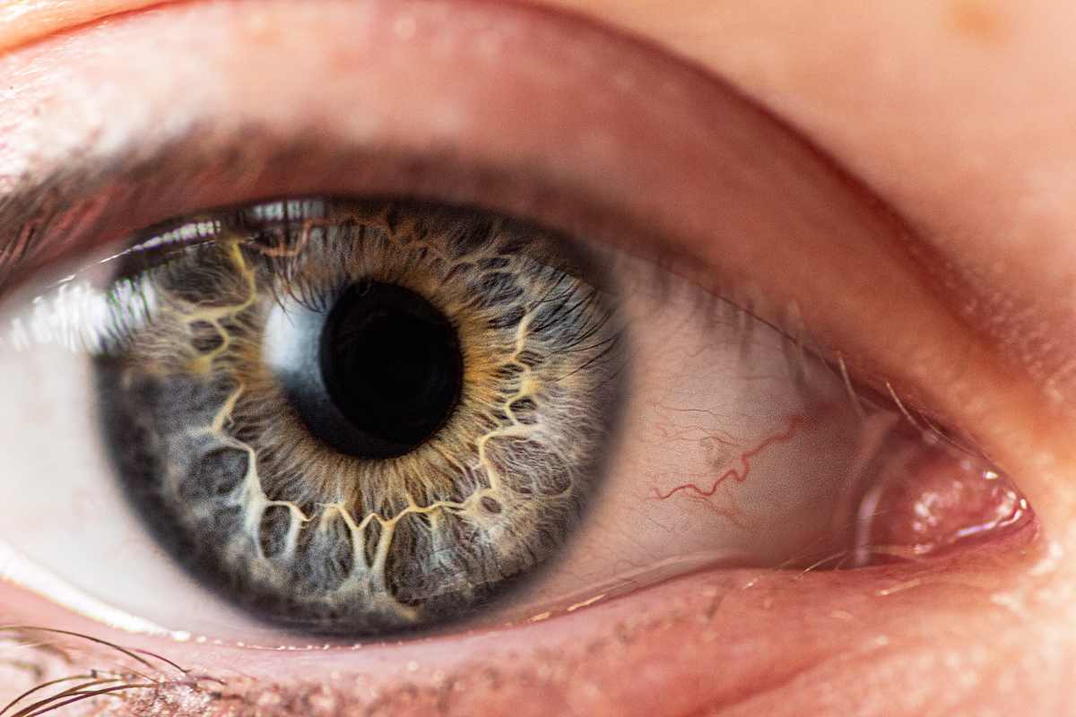 Aye Eye