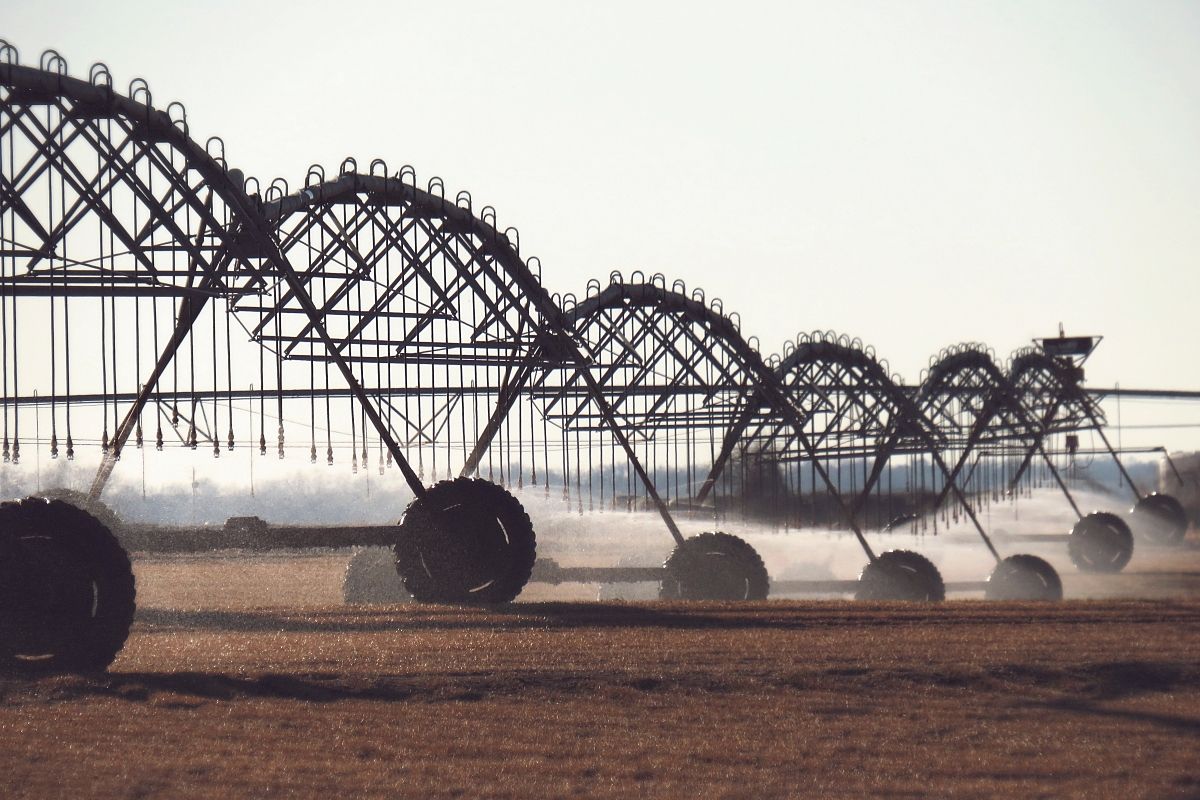 Irrigation Lines